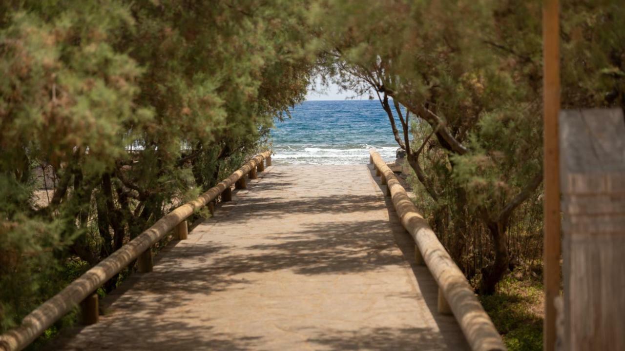 Riazor, El Medano Beach Apartment Екстериор снимка